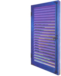 Diptych by Paul Critchley 'Eye Catching'