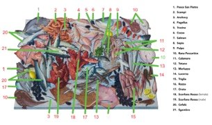 The Unschooled School, list of fish