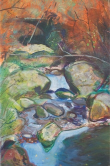 Rock Pool, detail